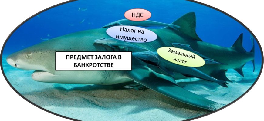 Комментарий к статье 138 Закона о банкротстве - Просто-Право