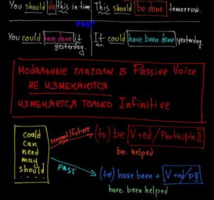 Passive Voice и модальные глаголы - freestudio21