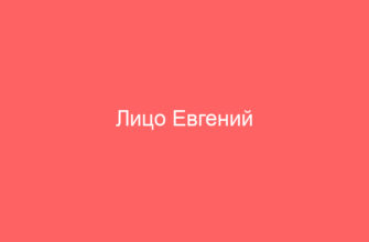 Лицо Евгений Александрович и ООО «АСПЕКТ ФИНАНС» г. Москва