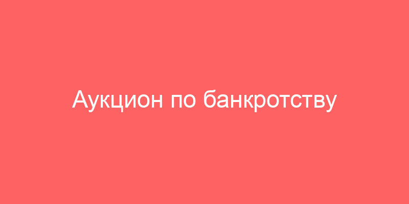 Аукцион по банкротству официального сайта недвижимости Санкт-Петербурга и Ленинградской области и электронный аукцион по банкротству