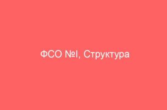 ФСО №I, Структура федеральных стандартов оценки и понятия